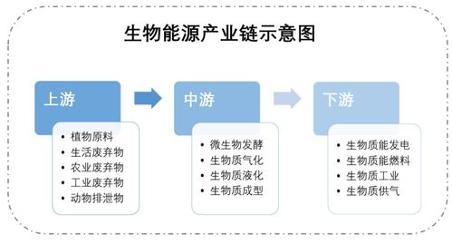合成生物技术多维赋能能源领域 专访合成生物学竞赛评委吕雪峰